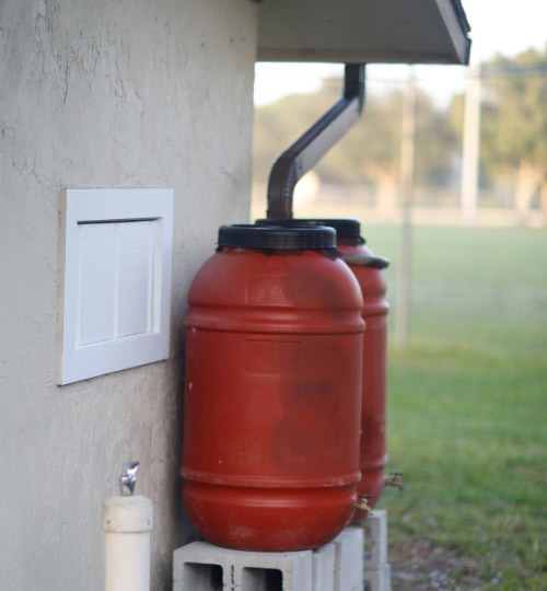 Rain barrels attached to downspout