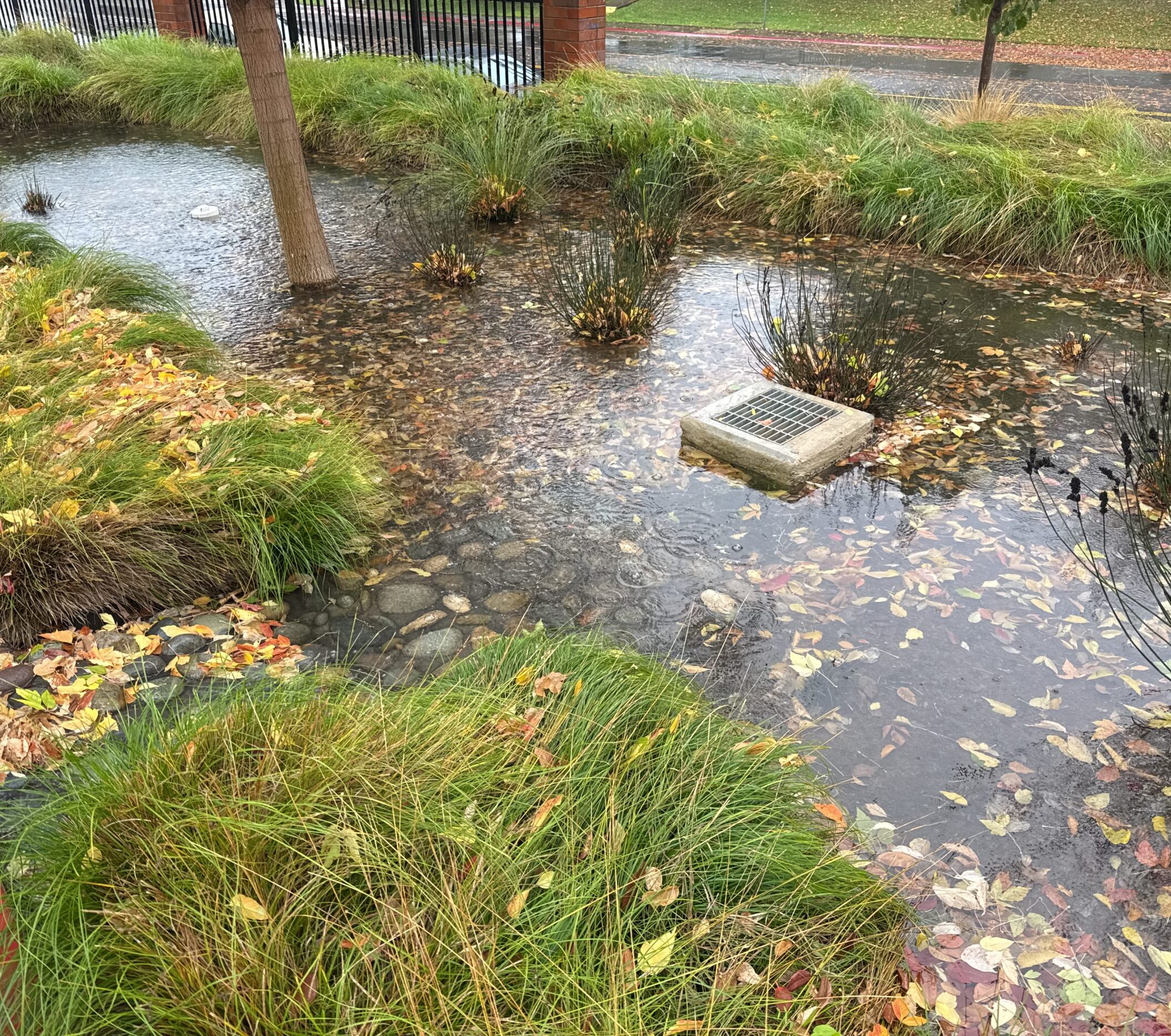 stormwater fills a stormwater basin
